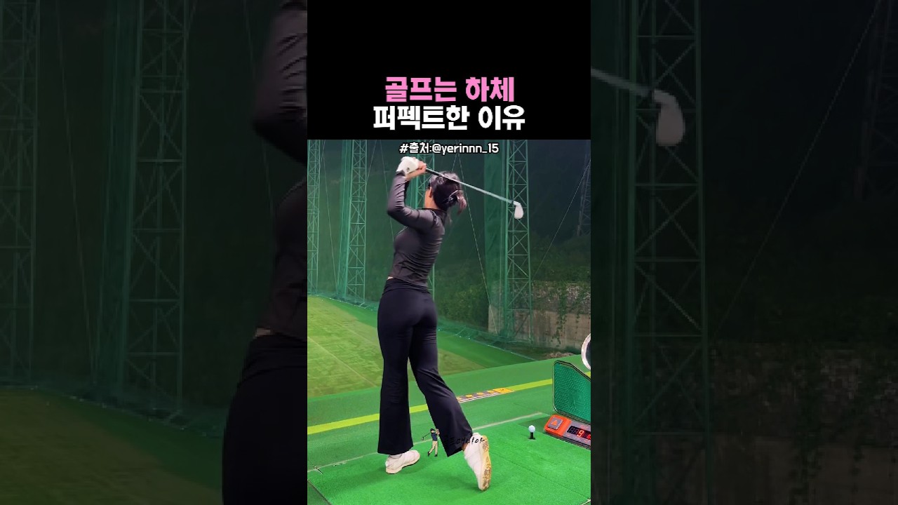 떠오르는 신예